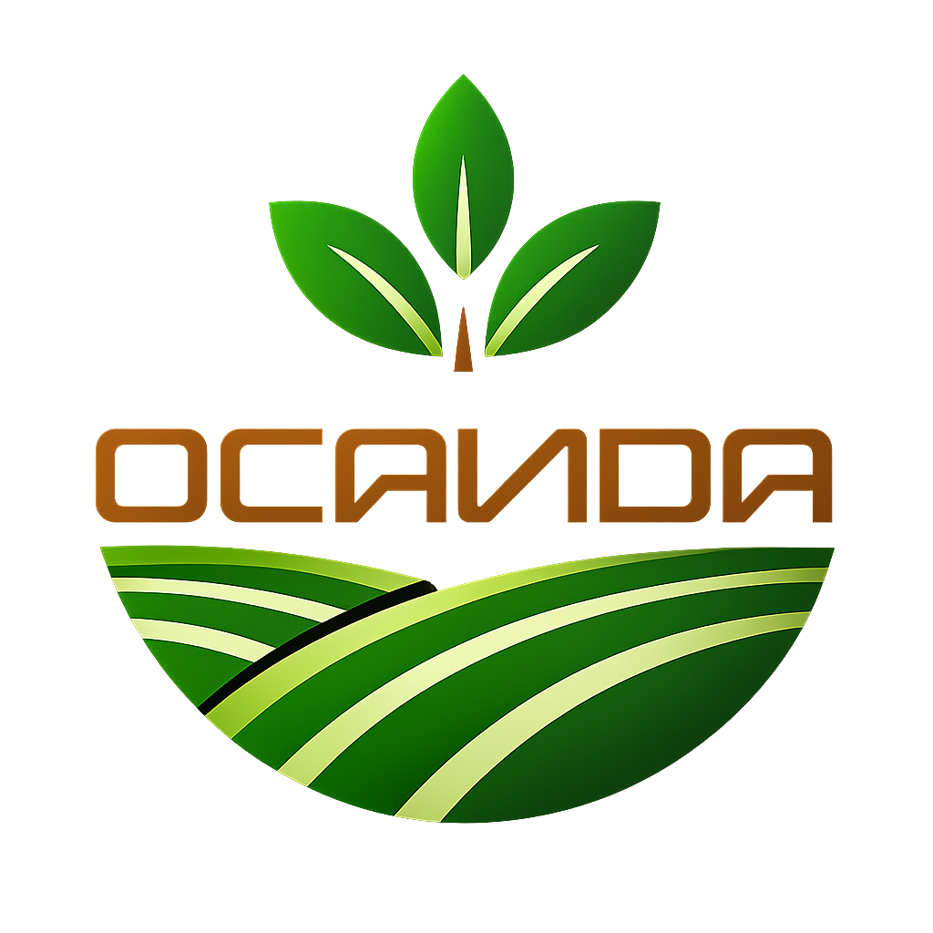 Ocanda